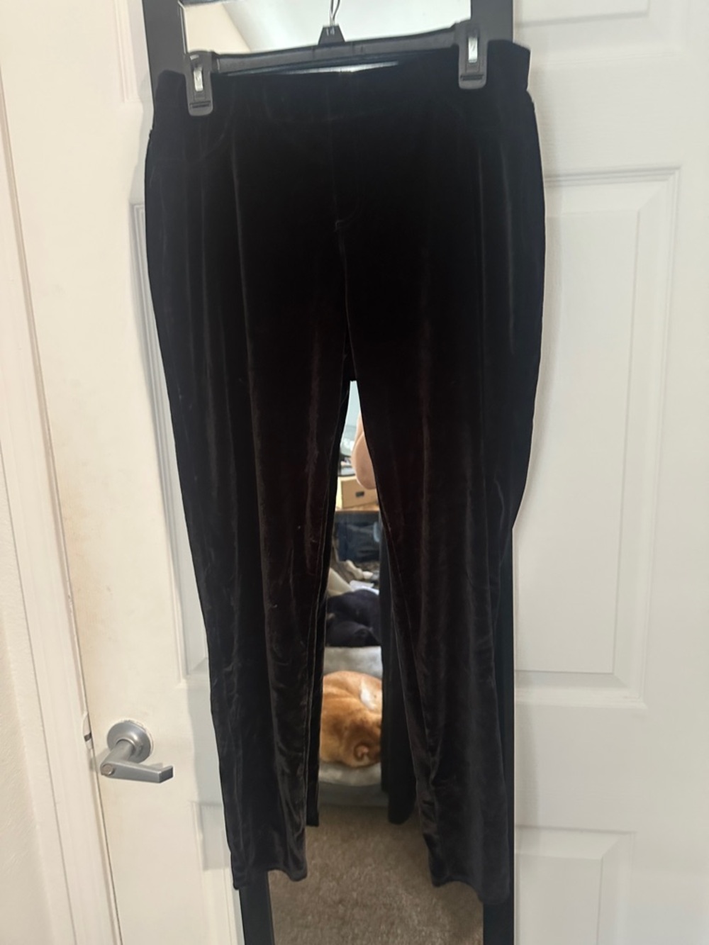 Time and Tru Black Velvet Leggings